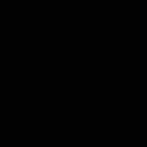 Meet your Posher, Donovan